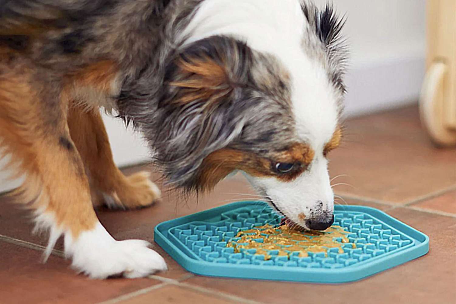 dog-lick-mat-2000-4504cfb1dd4d4e79965f33ac0c69284b dog-lick-mat-2000-4504cfb1dd4d4e79965f33ac0c69284b